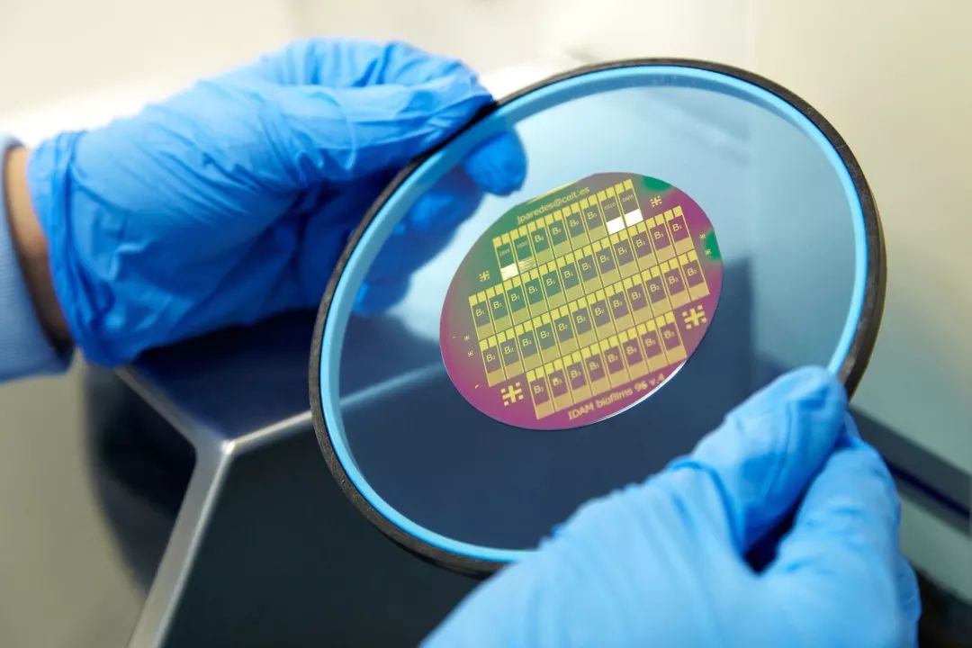 測量晶圓平整度，保留完整表面形貌